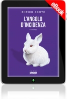 E-book - L'angolo d'incidenza