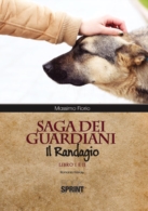 Saga dei guardiani