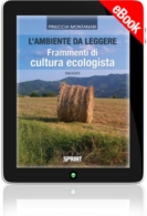 E-book - L'ambiente da leggere