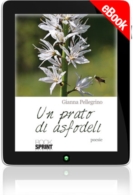 E-book - Lontana è la primavera