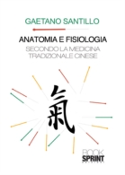 Anatomia e fisiologia secondo la medicina tradizionale cinese