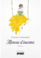 Mimose d'inverno