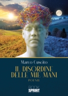 Il disordine delle mie mani